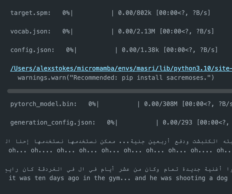 A stellar example of nonsense output from a state of the art model trained on Traditional Arabic translating Egyptian Arabic